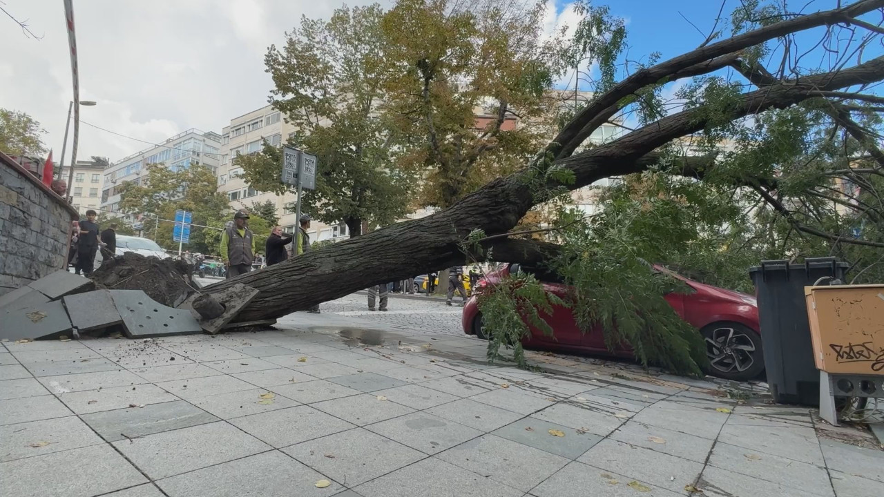 Harbiye’de ağacın devrildiği cadde trafiğe kapatıldı