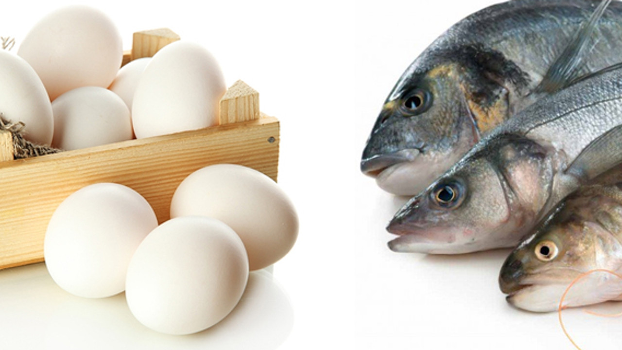 Yumurta ve su ürünlerinde KDV indirimi KRT TV