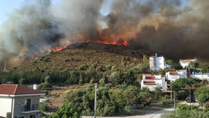 Muğla Datça'da orman yangını