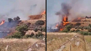 Hatay'da zeytinlik ve ormanlık alanda yangın
