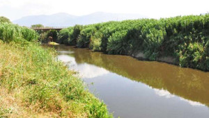 Gediz Nehri'ndeki kirlilik, 4'üncü dereceye ulaştı