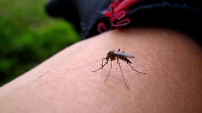 Sivrisinek kaşıntısını geçiren doğal yöntemler