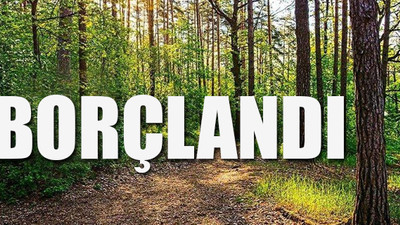 Hazinenin 1.078 futbol sahası büyüklüğündeki alanı ormana çevirmesi gerekiyor