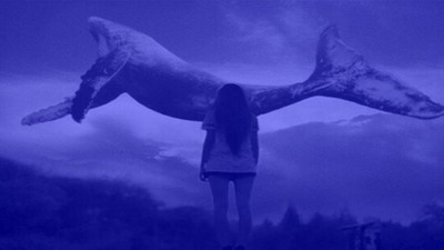 'Mavi Balina' kurbanı Evrim ölüme nasıl sürüklendi?