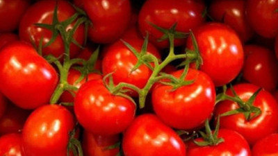 21 ton domates daha iade edildi