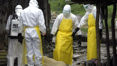 Adıyaman'da kuduz tehlikesi: Karantinaya alındı!