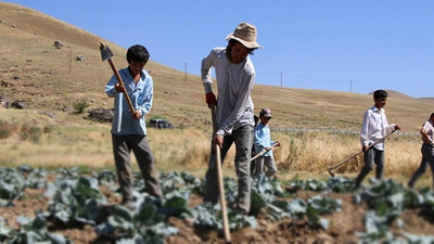 Asgari ücretle iş bulan çiftçi tarımı bırakıyor 