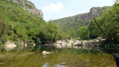 Otoyol için 17 bin ağaç kesilecek