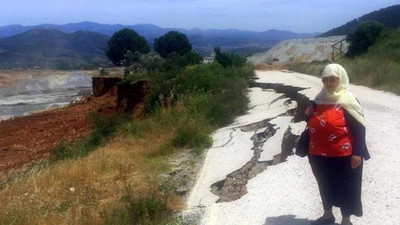 Ağaçlar artık kesilmiyor ama ‘boğuluyor’