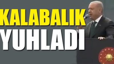 AKP'li Cumhurbaşkanı kendi adaylarına 'terör örgütlerinin' destek verdiğini söyledi