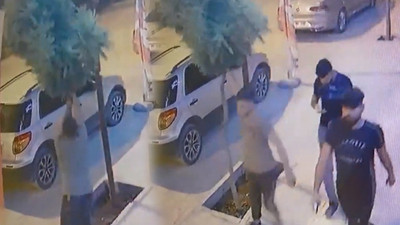 Belediye, yeni dikilen ağacı kıran şahısları ifşaladı