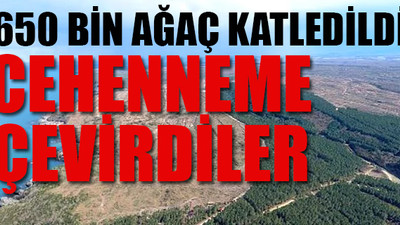 Erdoğan açıkladı: Sinop nükleer santral projesi durdu