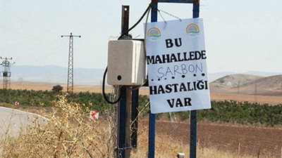 Tunceli’de şarbon alarmı