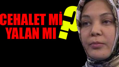 Yandaş yazar yeni bir 'bilgi yanlışına' daha imza attı