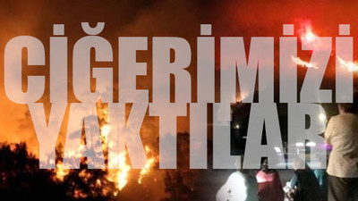 10 yılda 83 bin 557 futbol sahası büyüklüğünde orman yandı