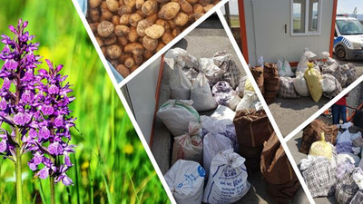 Ağrı'da salep toplayan iki kişiye 600 bin lira ceza