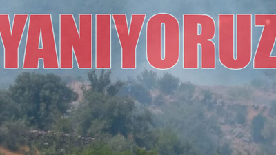 Bodrum'da orman yangını: 3 helikopterle müdahale ediliyor! / VİDEO