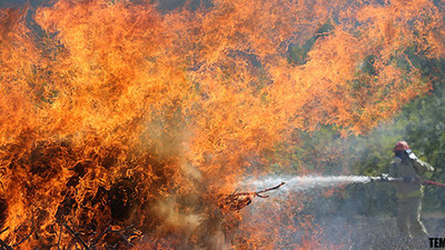 Bu sefer de Antalya'da yangın çıktı!