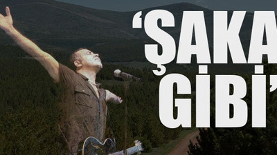 Kanadalılar Çanakkale'de 200 bin ağaç katledecek... Bakanlıktan 'tuhaf' açıklama