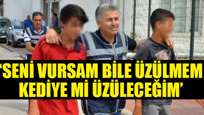 Hamile kediyi pitbullun önüne atan çocuklardan kan donduran sözler