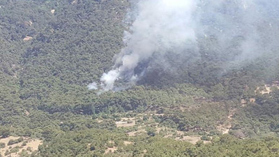 İzmir’de tabiat parkı yakınında orman yangını