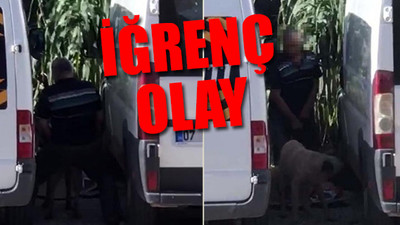 Köpeğe cinsel saldırıda bulunurken görüntülenen zanlı yakalandı