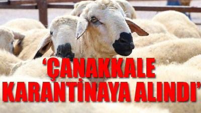 Kurban Bayramı öncesi Bakanlığın dağıttığı hayvanlarda veba şüphesi