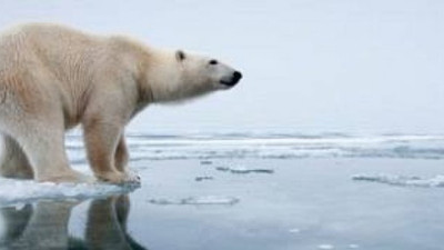 Kuzey Kutbu üzerinde yaratıcı eylem