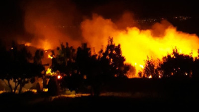 Mardin'deki tarihi manastırın bahçesinde yangın: Yüzlerce zeytin ağacı zarar gördü