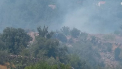 Muğla'da yangın!