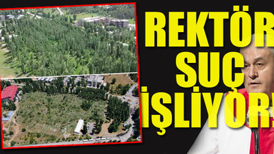 ODTÜ yıkımında bir hukuksuzluk daha!