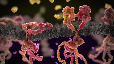 Röntgen ile kanser riski arasında bağ tespit edildi