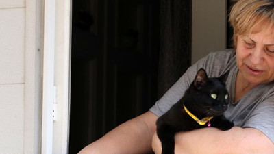 Sokak hayvanlarının mama kaplarını molozla doldurdular