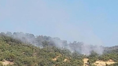 Tunceli’de orman yangını!