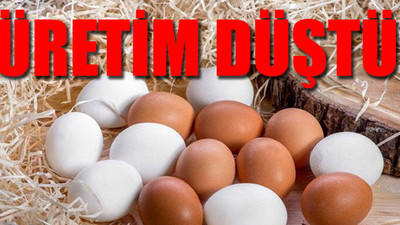 Türkiye Arabistan'dan yumurta ithal ediyor