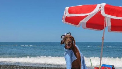 'Vuslat'a emeklilik töreni