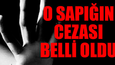 5 yaşındaki çocuğa cinsel istismarda bulunan şahsın davası görüldü