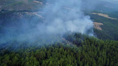 Antalya'da orman yangını: Yıldırım düştü