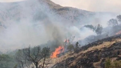 Bayburt’ta orman yangını