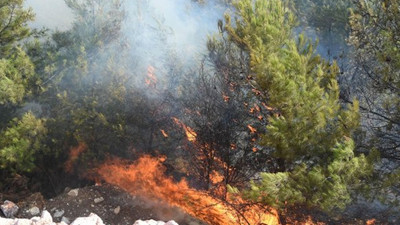 Buca’da yanan samanların alevi ormana sıçradı