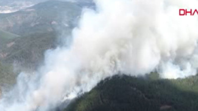 Bursa'da orman yangını!