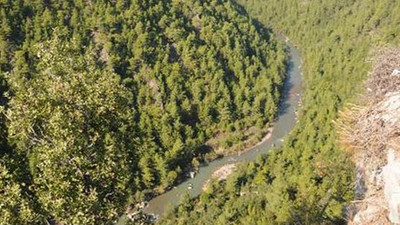 ÇED raporuna 'böcekler ne olacak?' iptali