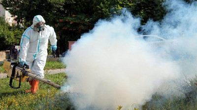 Edirne’yi ‘sinek’ bastı