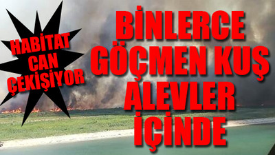 Edremit alevler içinde...