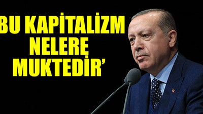 Erdoğan'ın 'doğa' ile ilgili ne demişti? 