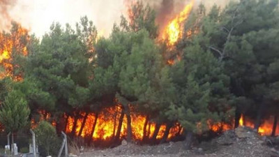 İzmir'de bir korkutan yangın daha...
