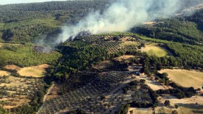 İzmir'de bir orman yangını daha