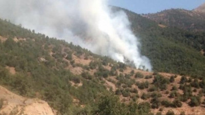 İzmir'de orman yangını