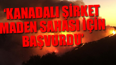 İzmir'deki orman yangını hakkında bomba iddialar... 3 Bakan hakkında suç duyurusu