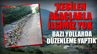 'Kanadalı şirket' talana Samsun'da devam ediyor